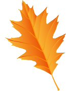 picture of a large yellow leaf