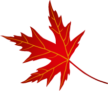 picture of a large red leaf